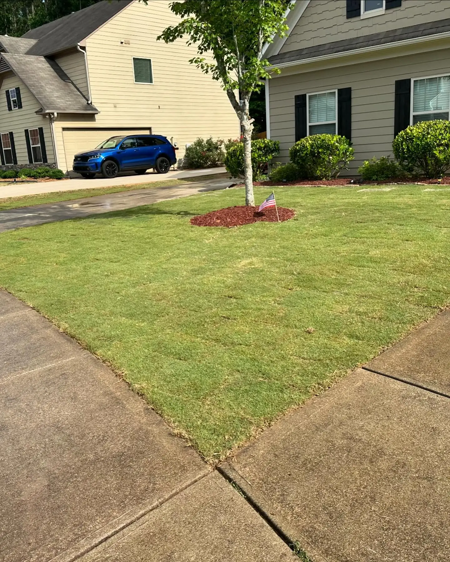 Freshly installed sod on a front lawn in Marietta, GA by D.G. Property Management